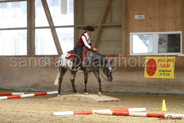 26-ApHC GT_022.jpg